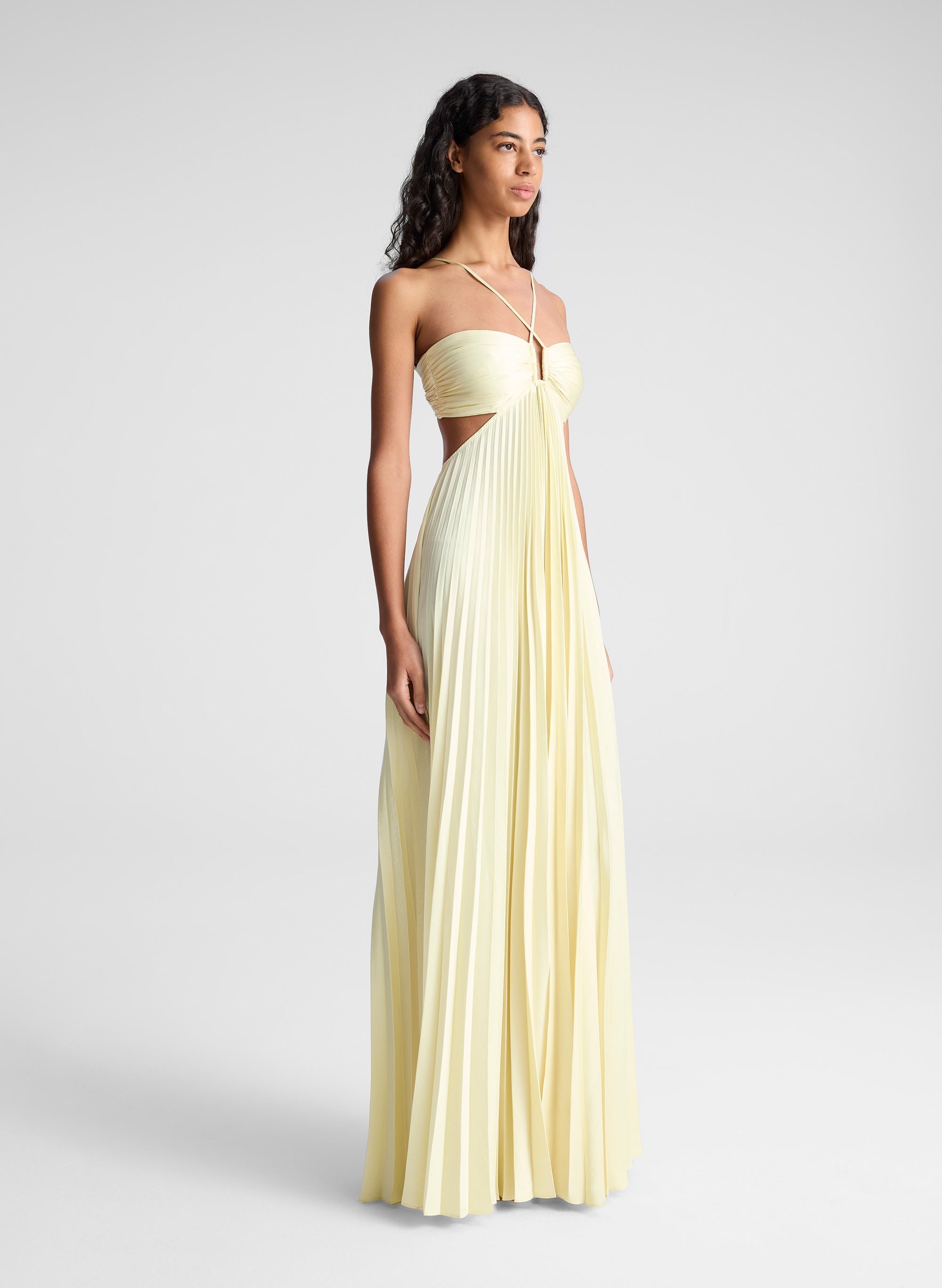 Nerina Pleated Maxi Dress