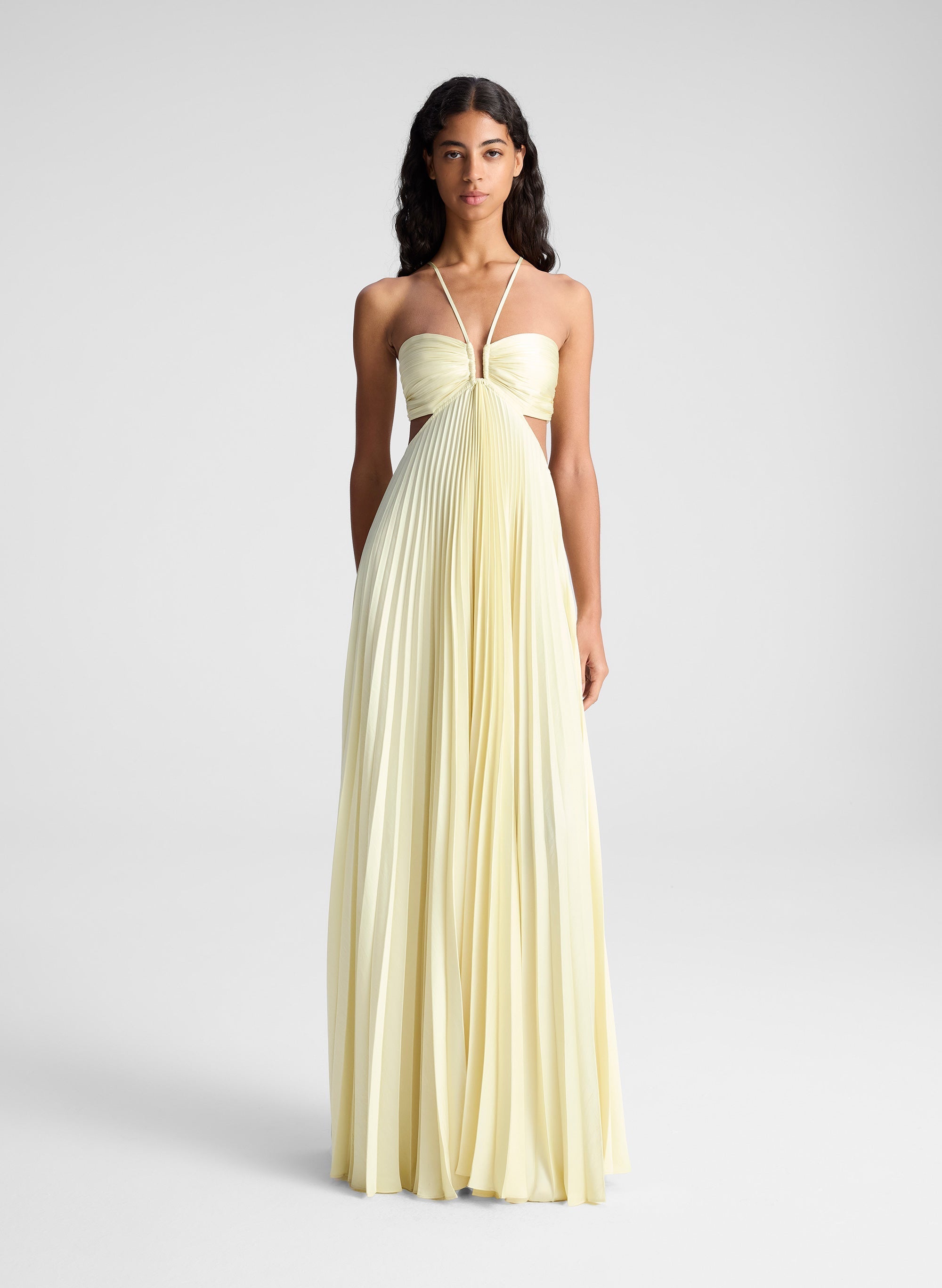 Nerina Pleated Maxi Dress